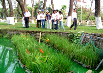 Sử dụng cây cỏ trong tự nhiên để xử lý ô nhiễm môi trường nước 45277810