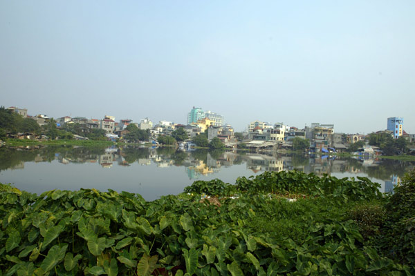 Hồ Linh Quang đã nhiễm vi khuẩn tả do ô nhiễm nặng Images16
