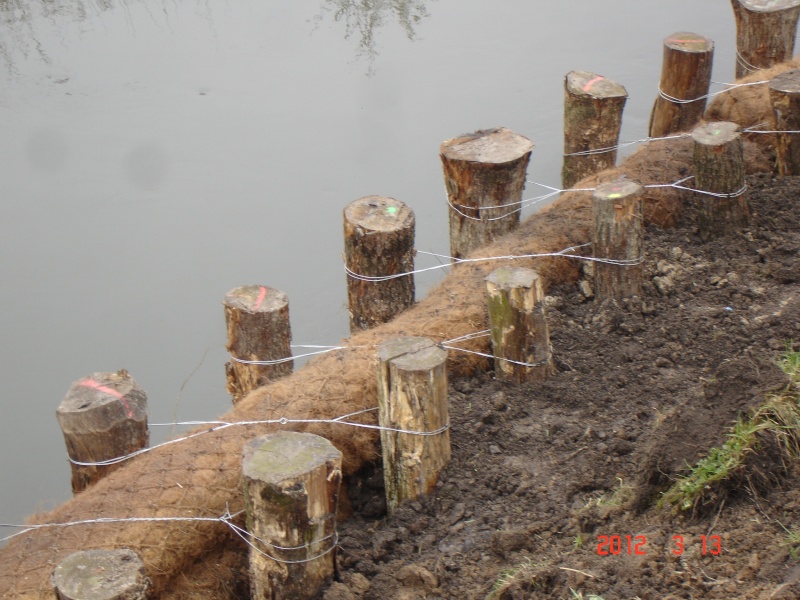 INONDATIONS -BASSIN DE LA LYS ( LYS-LOISNE-LAWE) ... - Page 5 Dsc06213