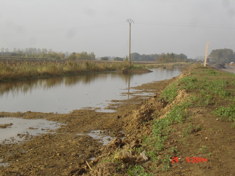 INONDATIONS -BASSIN DE LA LYS ( LYS-LOISNE-LAWE) ... - Page 4 Dsc07010