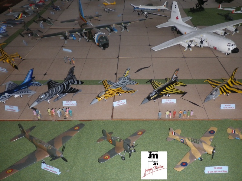 Un Siècle d'aviation militaire belge au 1/48 Photo149