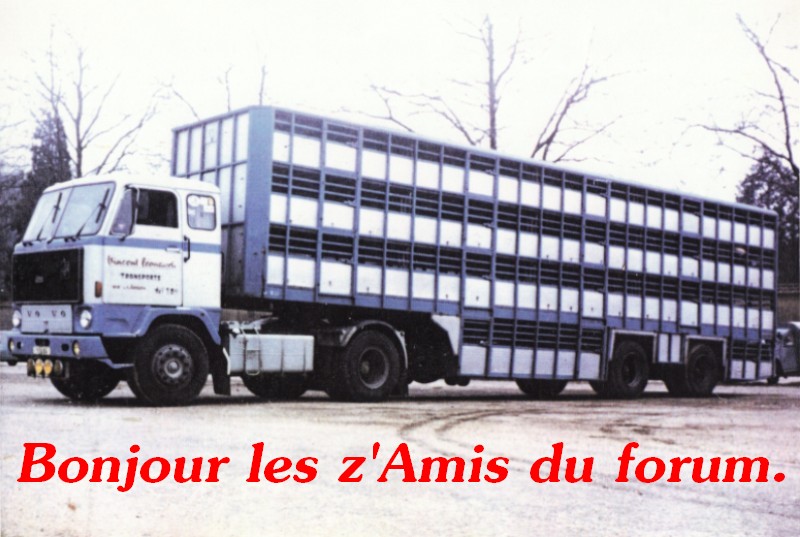 Des photos de camions bétaillères à moutons et d'autres photos de camions aussi conduit par Henry Elie . - Page 3 F_89_l11