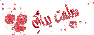 طاجن الحمام بالفرن 12760_15