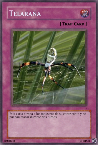 Generador de cartas Yu-Gi-Oh! Create11