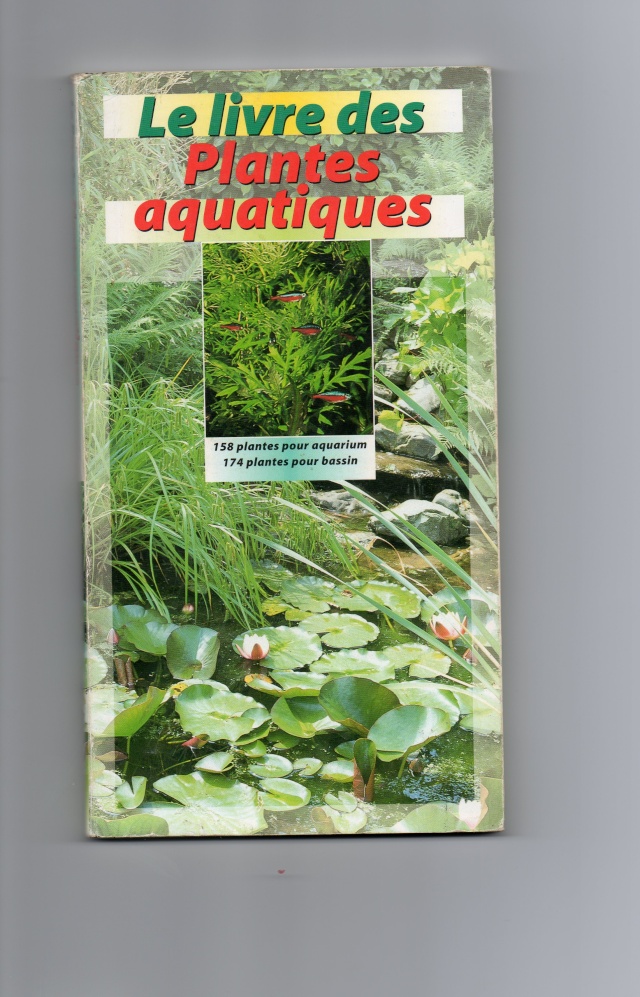 petit conseil pour achat de plantes aqua Img00410