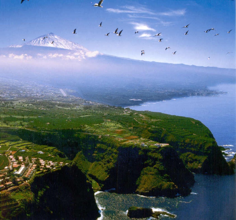 aqui les cuento algo de las 7 islas canarias una de ellas Tenerife donde yo naci Costa212
