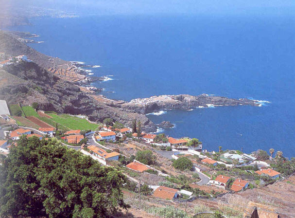 aqui les cuento algo de las 7 islas canarias una de ellas Tenerife donde yo naci Sauzal10