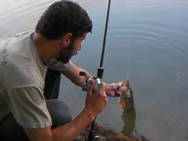 Street Fishing en Garonne Sany0010