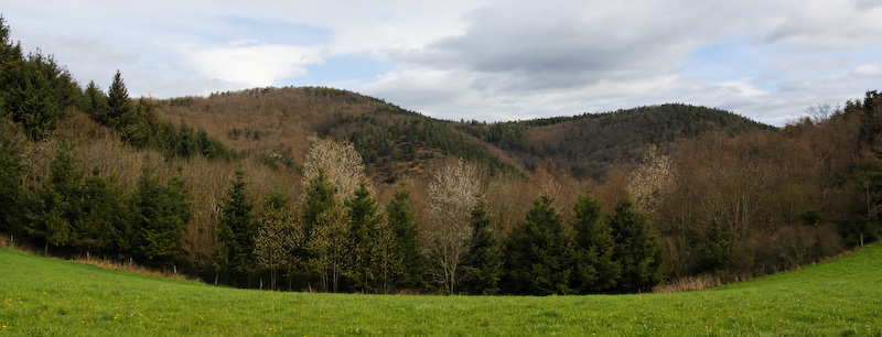 Que c'est beau l'Auvergne... _mg_0011