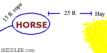 The Horse, the Rope, and the Hay. Horse13