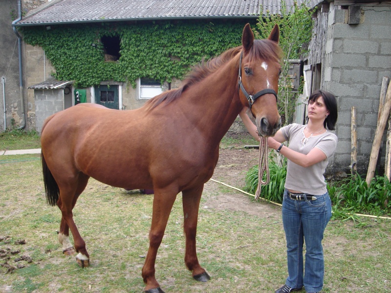 Muse et la soeur d'Ingrid (Juin 2008) Dsc00710