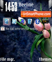 Tlcharger gratuit Thme pour Nokia N73,N95,N95 8Go.... Theme_23