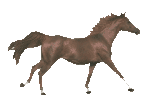 cosaques et ostvolker (volontaire de l'est) Cheval13