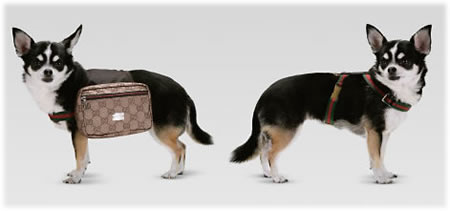 DOG BACKPACKS Gucci-10