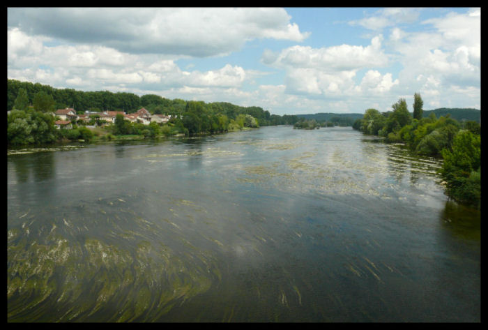Dordogne (la rivière) P1000113