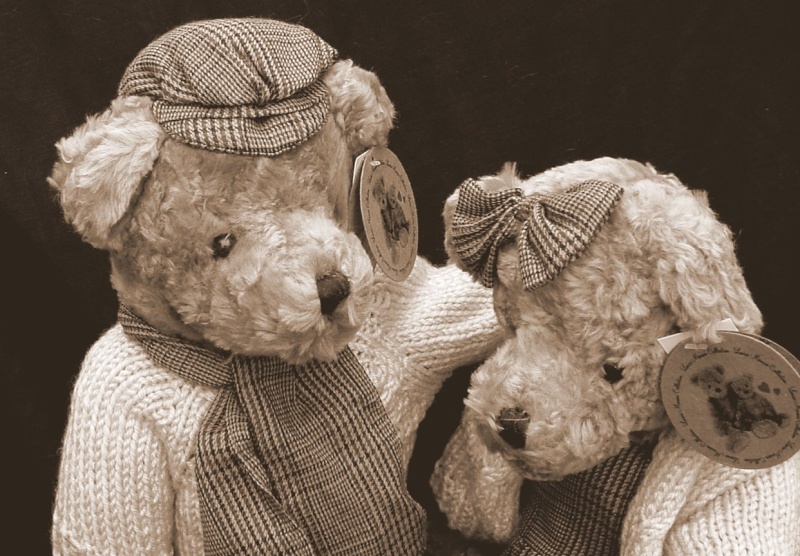 www.shop-teddybear 1€50 reversé par vente Sten_e10
