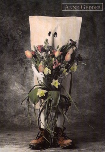 Blomsterbilder Geddes15