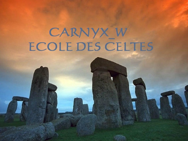 Ally pages : CARNYX & CARNYX_W Menhir10