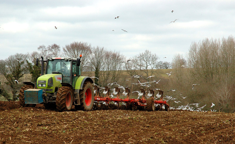 claas Travau12