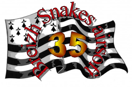 BREIZH SNAKES AIRSOFT 35