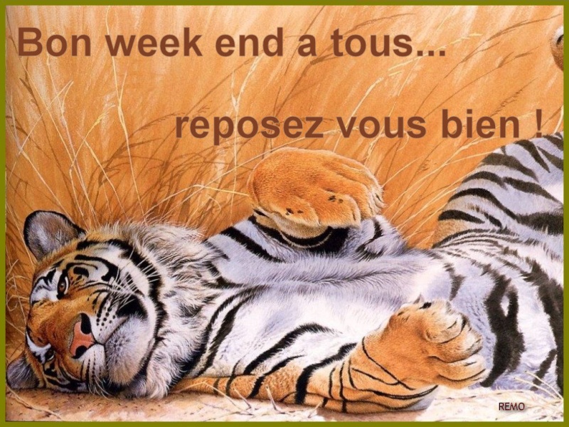 BON WEEK END A TOUS !!! 2tqh9810