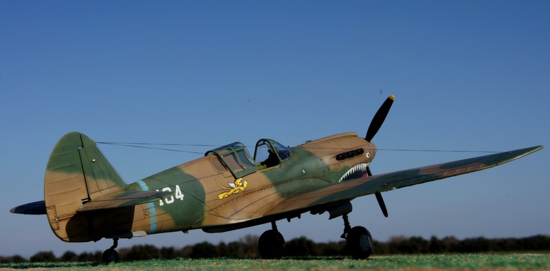 P-40E Hasegawa 1/48 Dsc05120