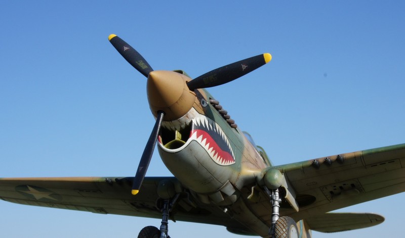 P-40 E " Hasegawa " 1/48 Dsc05210