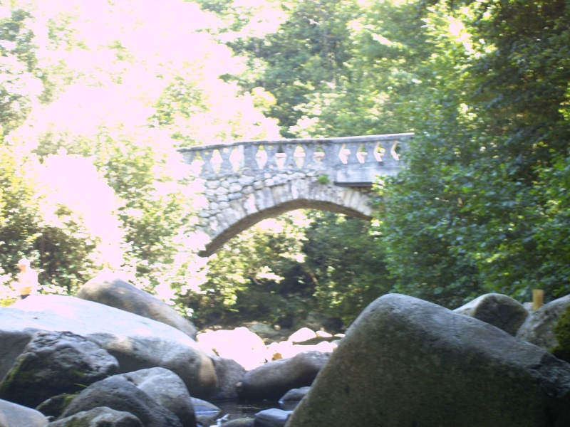 Bonjour à tous...(Présentation chevalcantal) Imag0022