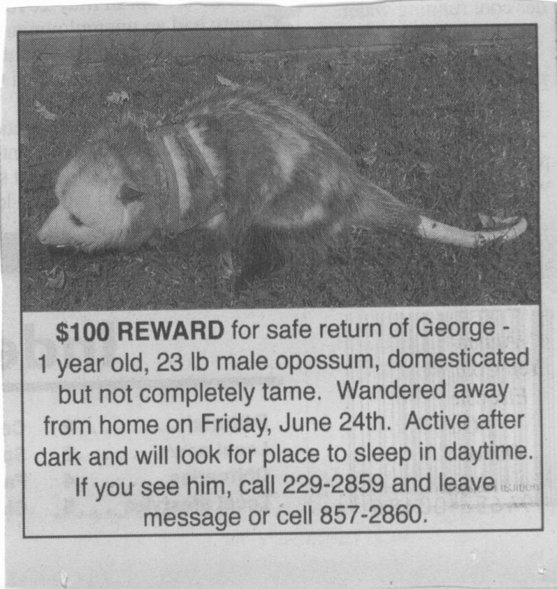 Help find George! Scan_611