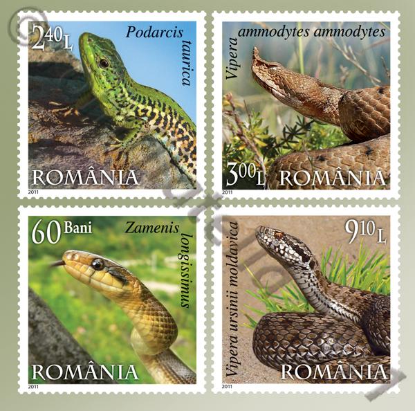 rivière de roumanie en 3 lettres