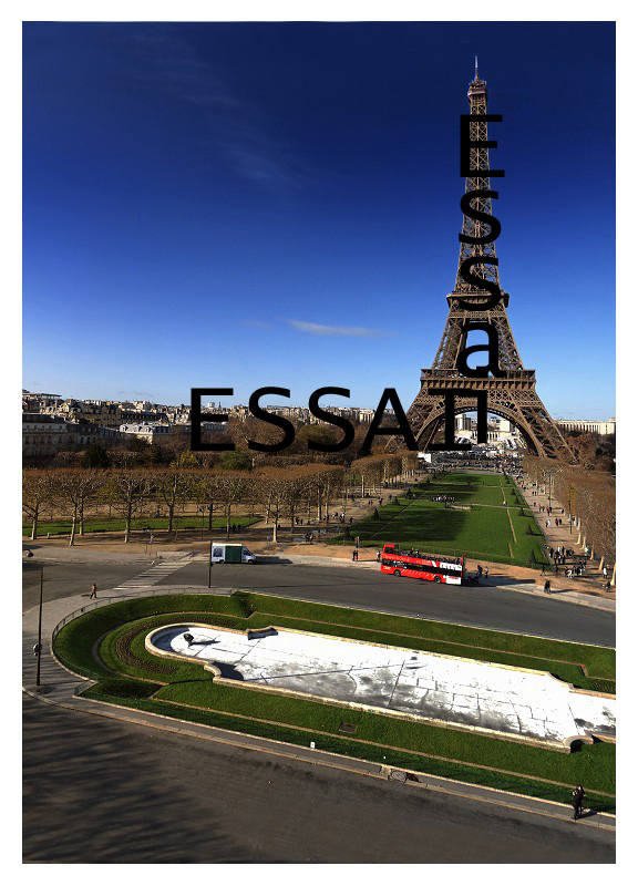 Photo Aerienne de la Tour Eiffel Panora11