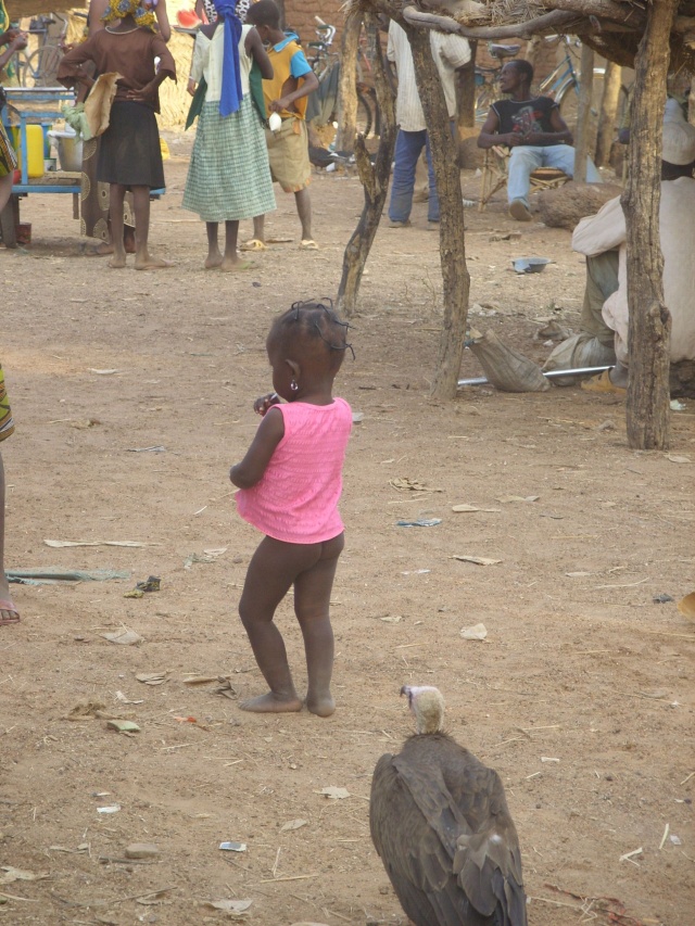 Voyage au ...... Burkina Faso, Ouagadougou, Afrique. Ss853614