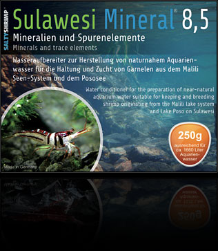 Sel spécifique pour crevettes de Suwalesi Sulawe11