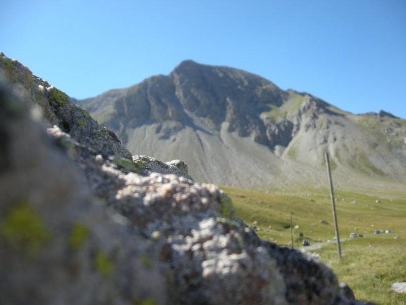 Compte rendu Rencontre Alpine pour le forum SGT3R, barcelonnette, Allos, Vars etc... Dscn3219