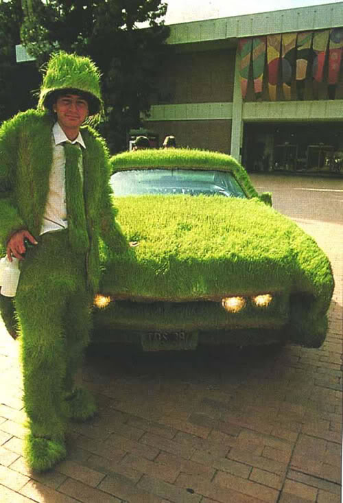 Amazing Grass- Covered Cars 5020gr10