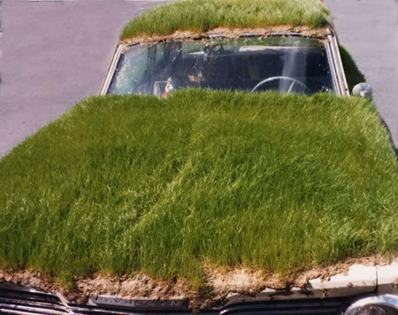 Amazing Grass- Covered Cars A9781911