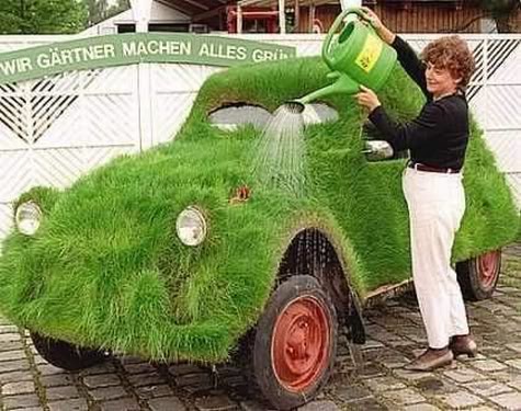 Amazing Grass- Covered Cars Grass210