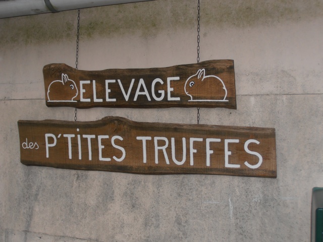 visite des ptites truffes P1200110