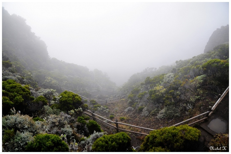 Piton Fournaise Descen10