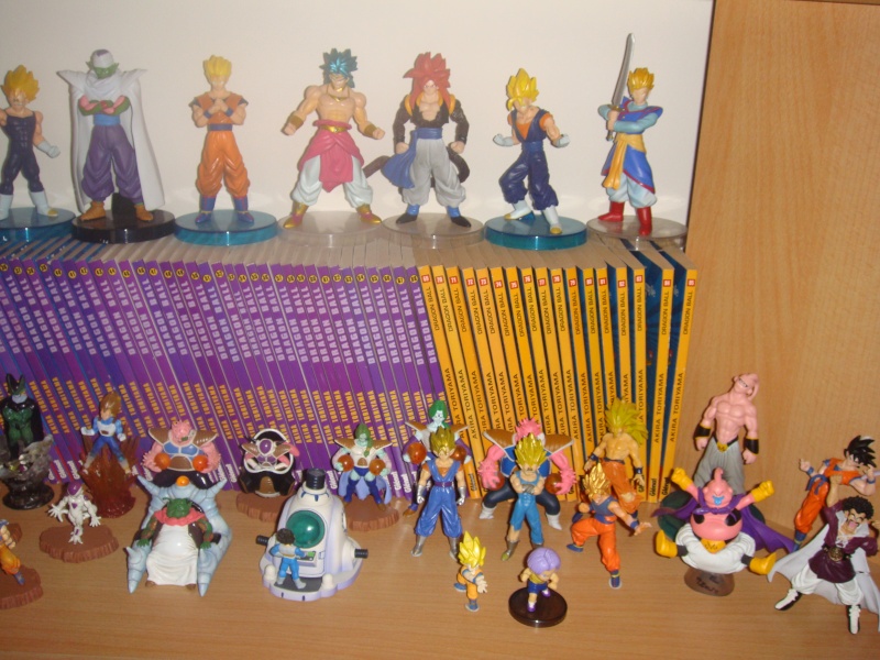 Vos collections Dragon Ball (Z, GT...) Dsc03113