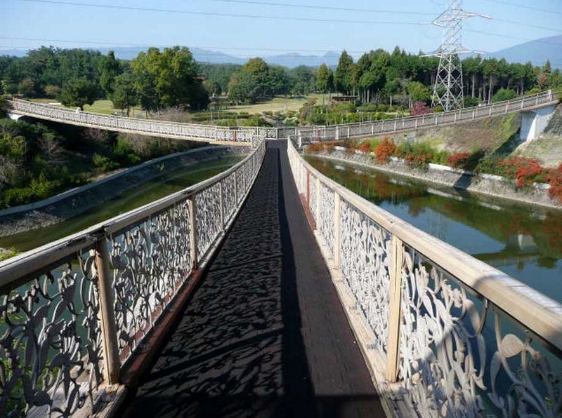 Tridge 2012-211