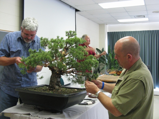 Walter Pall at the Carolina Bonsai Expo Pictur15