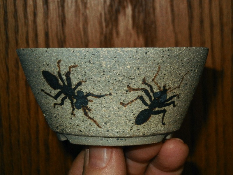 Some pots for the new gallery - Page 20 Bugs10