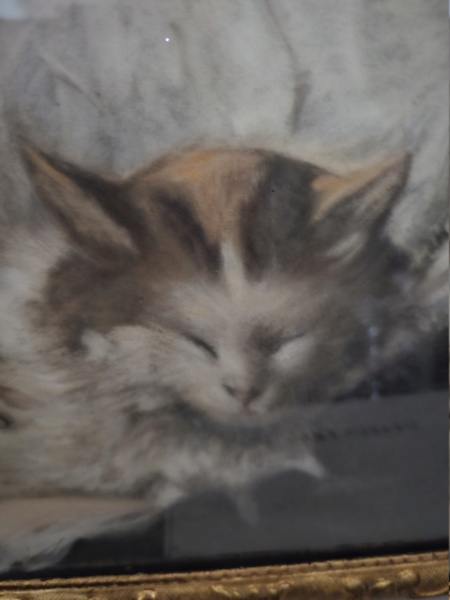 copie  pastel sec /craie de la jeune fille au chat de Charles CHAPLIN -copiste BRECH(E)1892 20240213