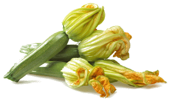 Fleurs de courgettes farcies aux champignons 20263810