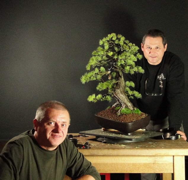 Tony began, we continue - Pinus parviflora (owner M.Škrabal) Top_5410