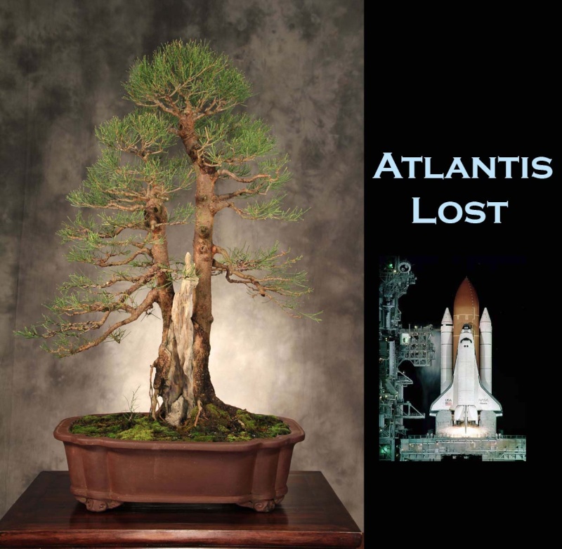 Something Different - "Atlantis Lost" Atlant11