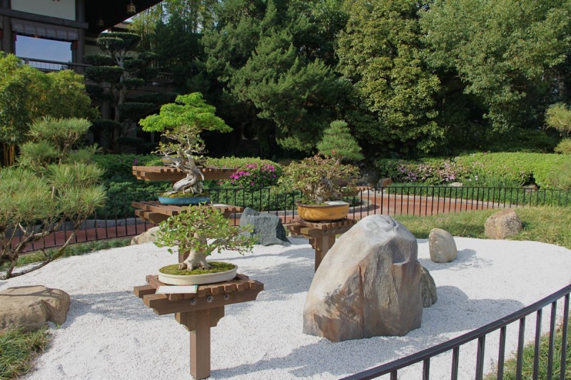 Bonsai at WDW EPCOT Flower and Garden Show Sand_g10