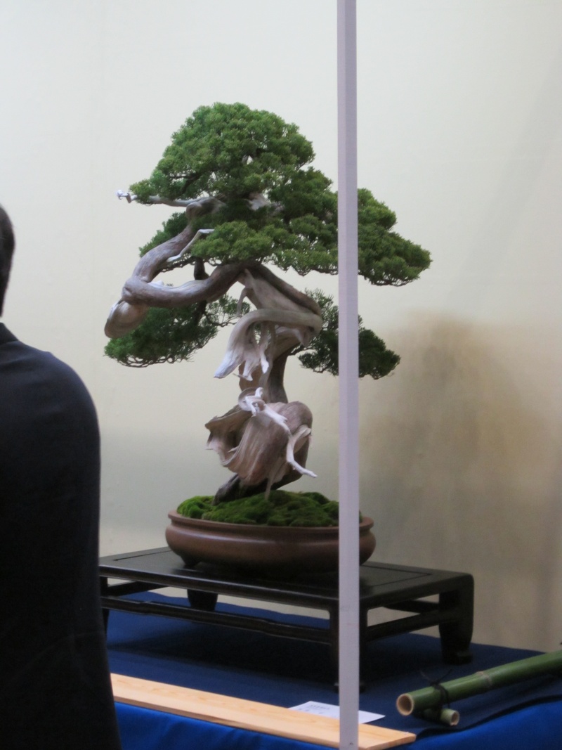 ASPAC Takamatsu Japan 2011 and BCI Tour Takama15