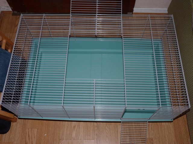 cage freddy 2 et cages mary P1250019